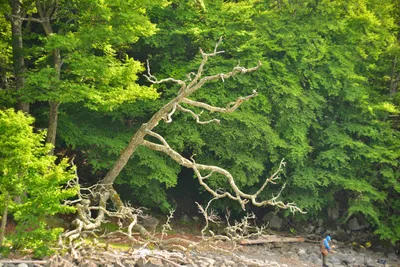 DSC_3939 (Large).JPG